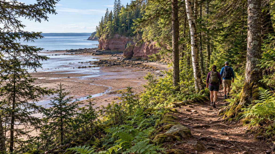 Hikers following a forested coastal trail toward a quiet shoreline at Hopewell Cape