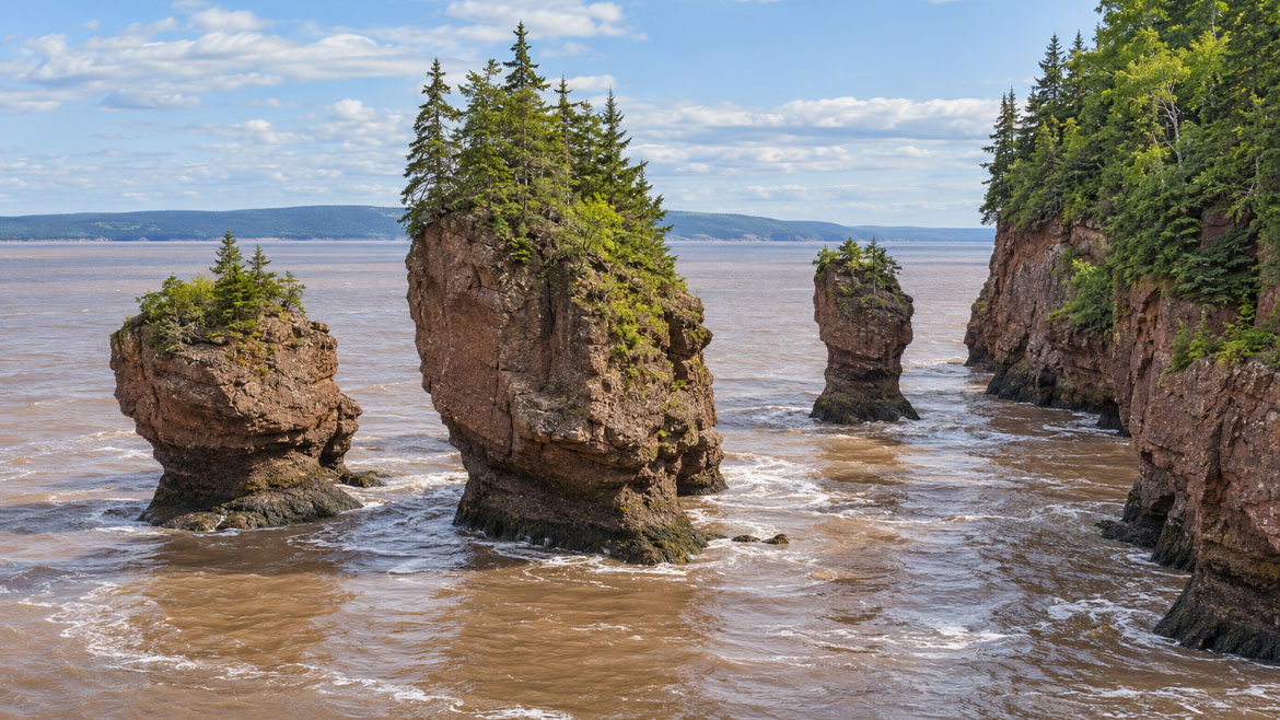 Hopewell Cape Travel Guide: Tides, Safety and Hopewell Rocks