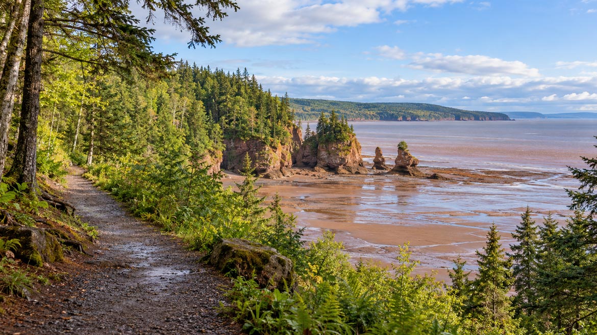 Coastal trail overlooking Hopewell Rocks, tidal flats, and the forested Albert County shoreline