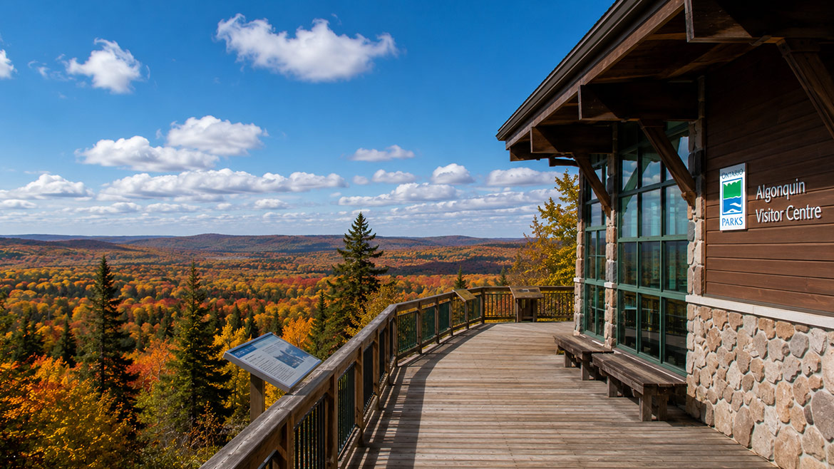 Autumn forest view from the Algonquin Visitor Centre observation deck