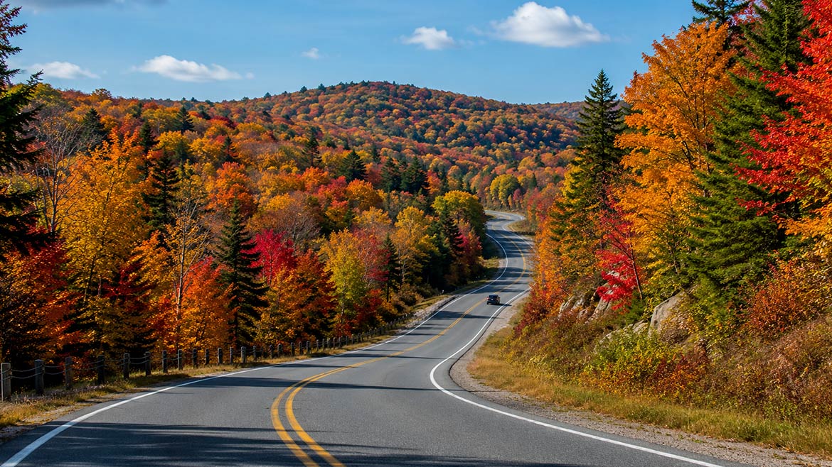 Highway 60 passing through colourful autumn forest in Algonquin Provincial Park