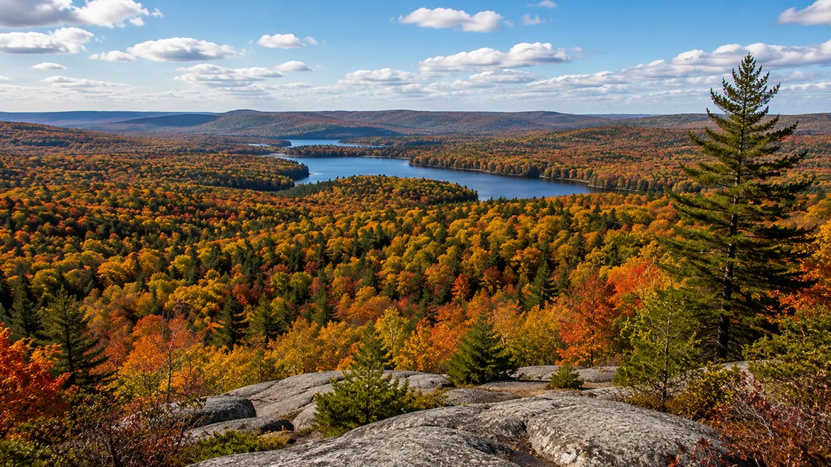 Panoramic autumn view from Lookout Trail in Algonquin Provincial Park