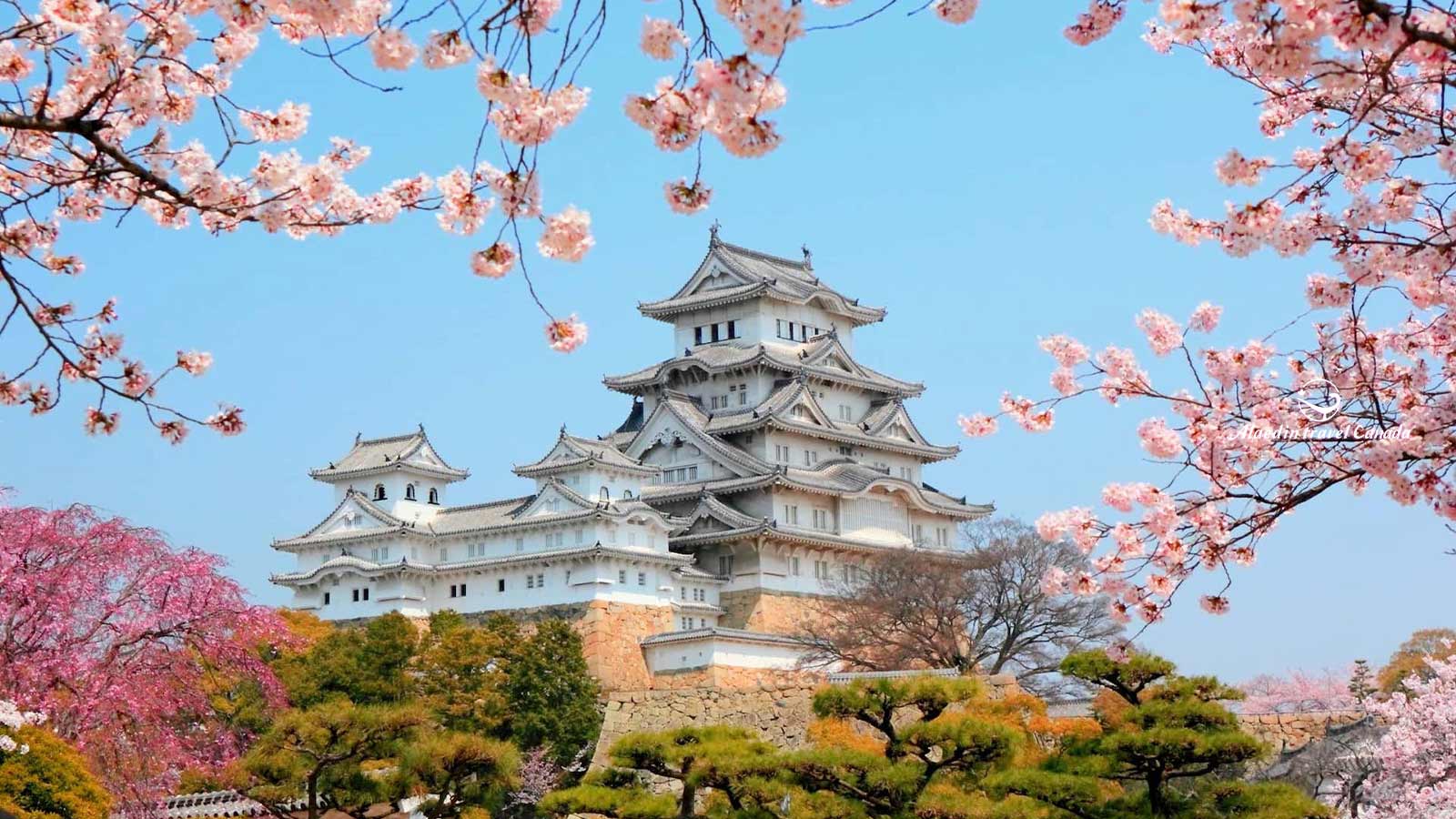 Japan Tours - Alaedin Travel Canada