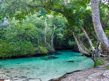 Dominican Republic 11 Days