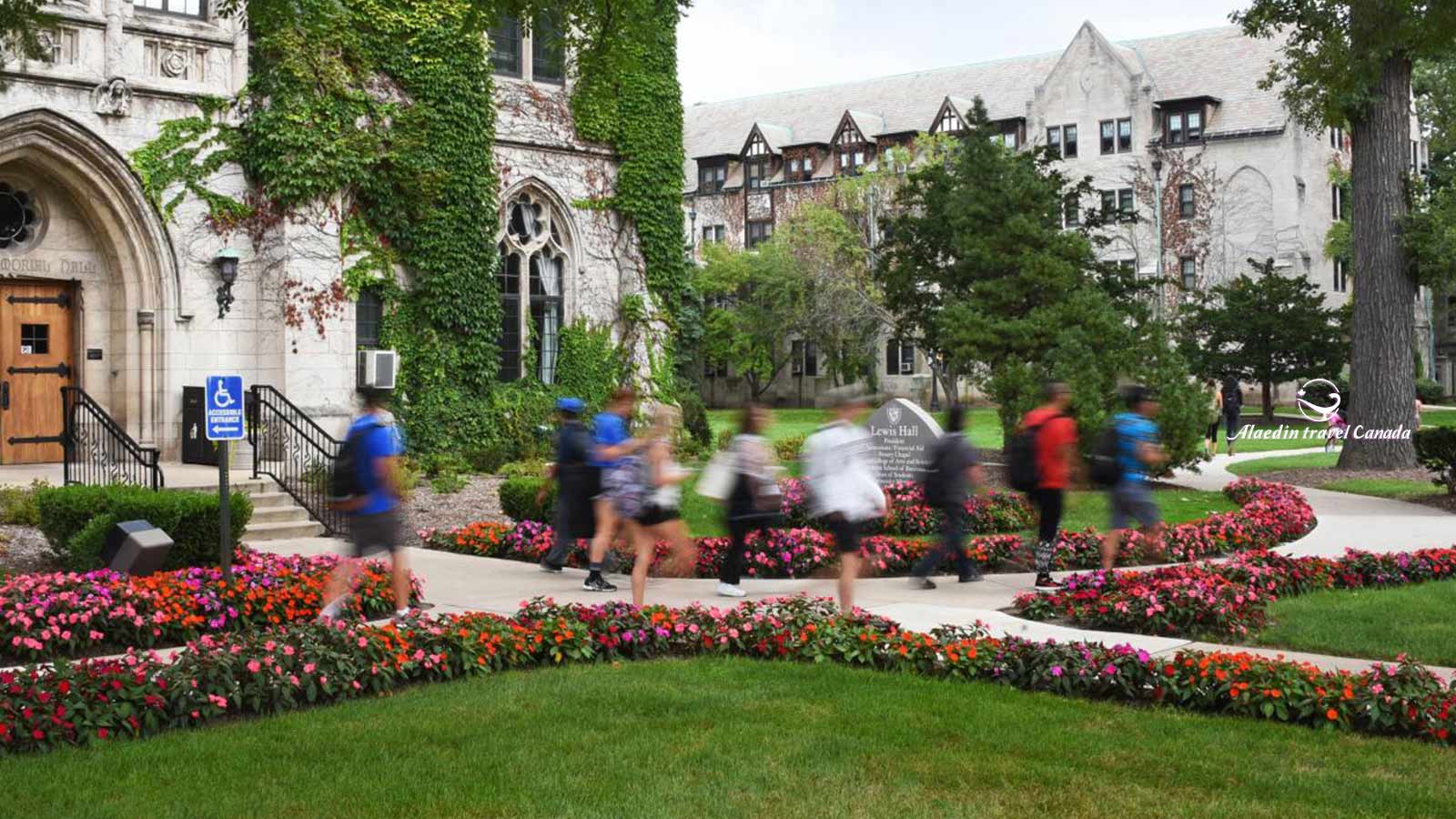 Dominican Republic 11 Days Tours - Alaedin Travel Canada