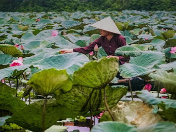 Vietnam