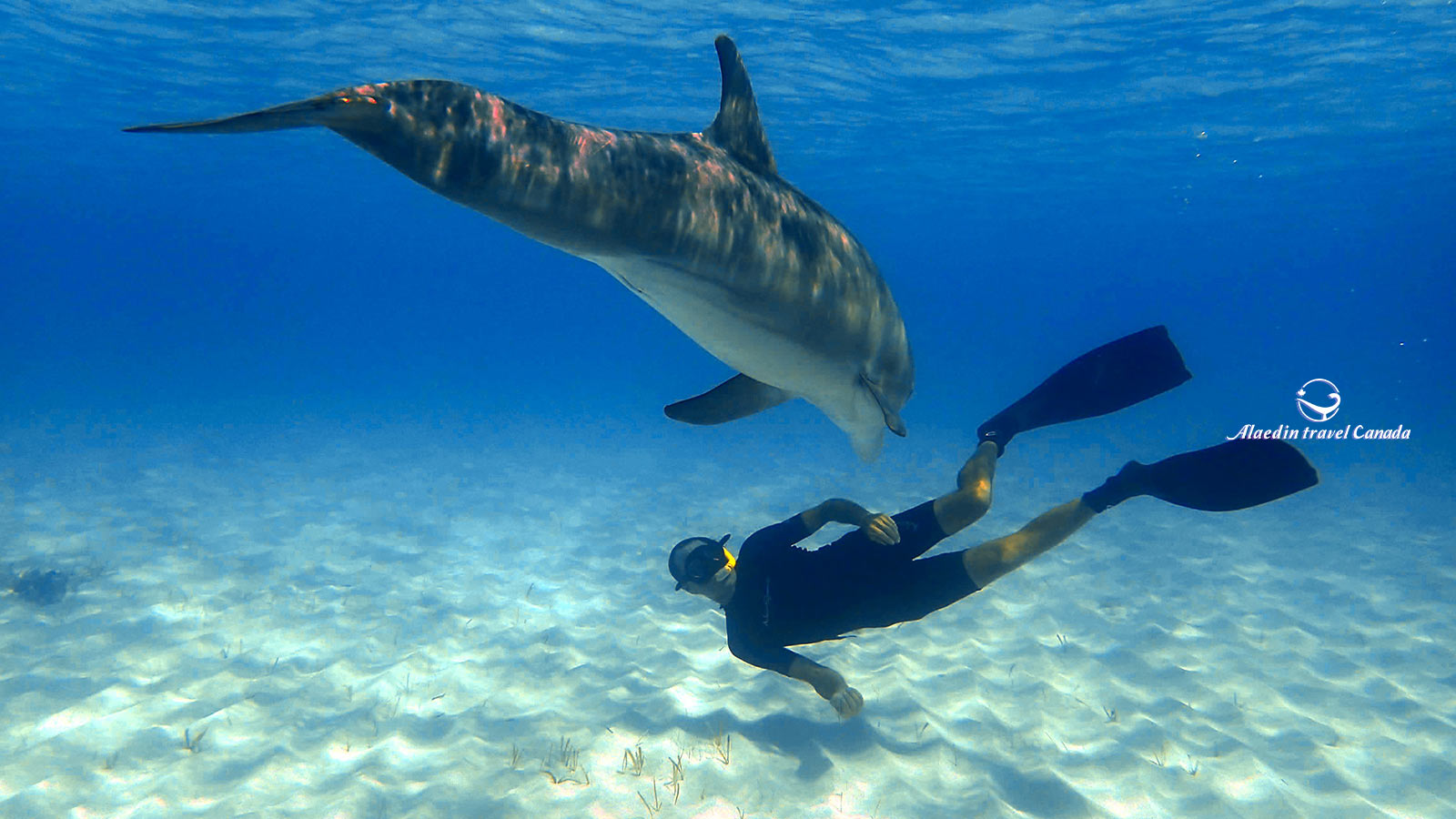 Bahamas Tours - Alaedin Travel Canada