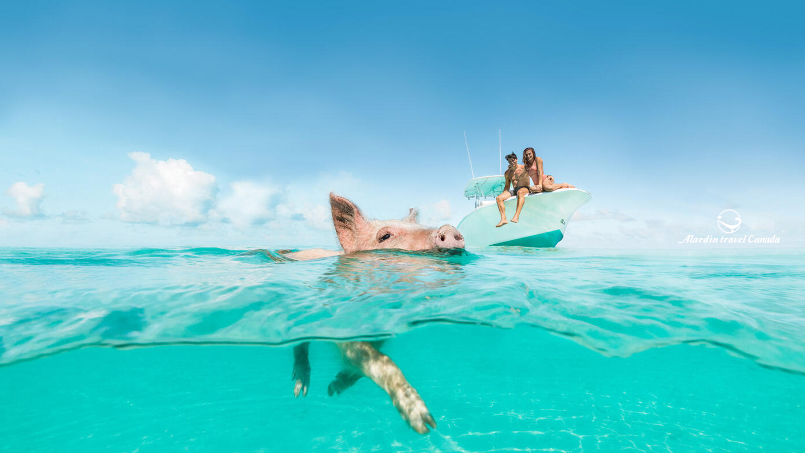 Bahamas Tours - Alaedin Travel Canada