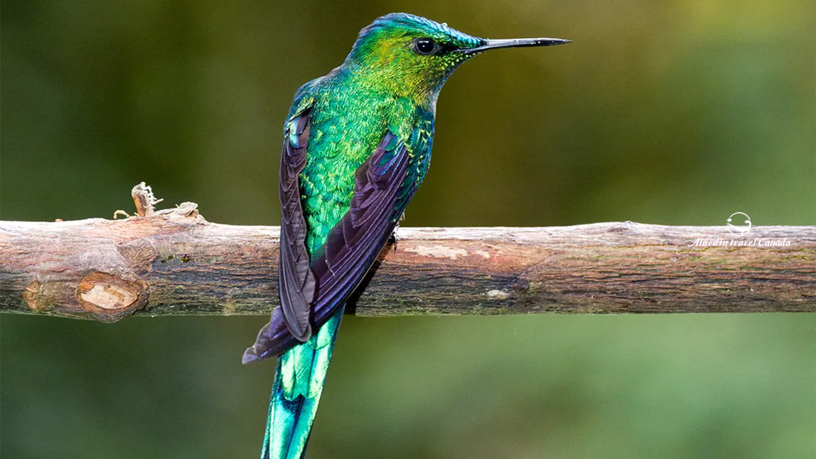 Colombia Tours - Alaedin Travel Canada