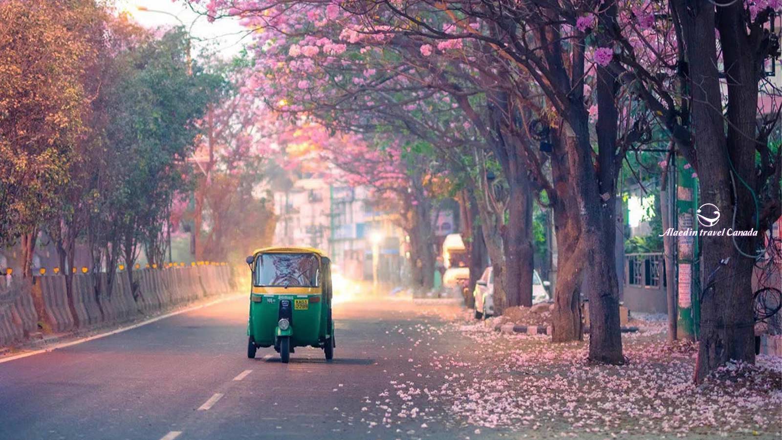 India Tours - Alaedin Travel Canada