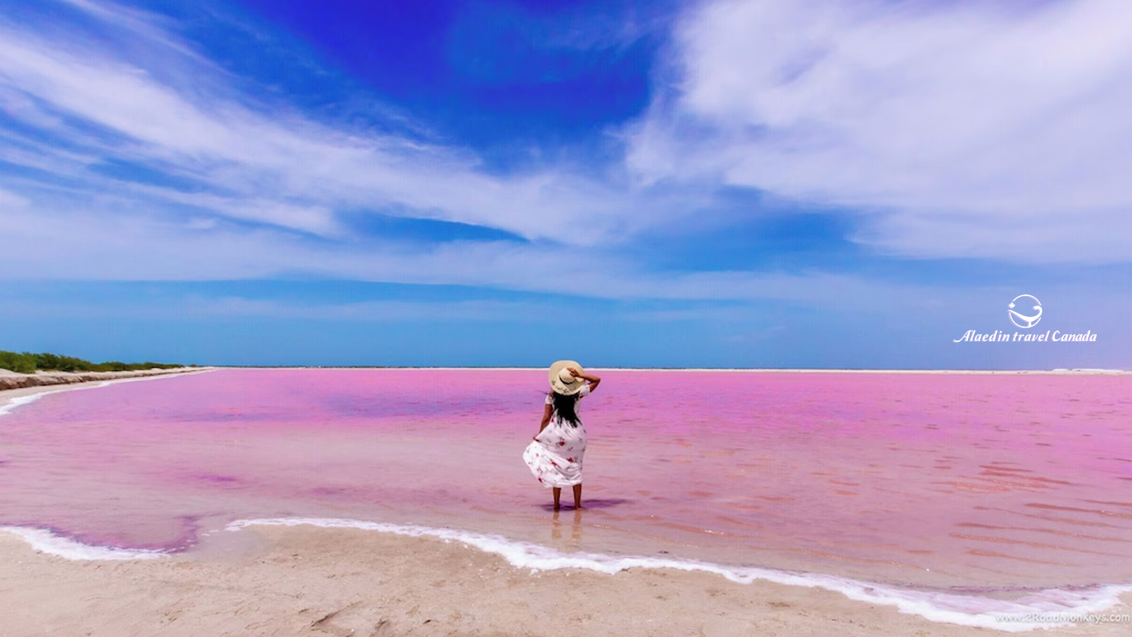 Mexico 12 Days Tours - Alaedin Travel Canada