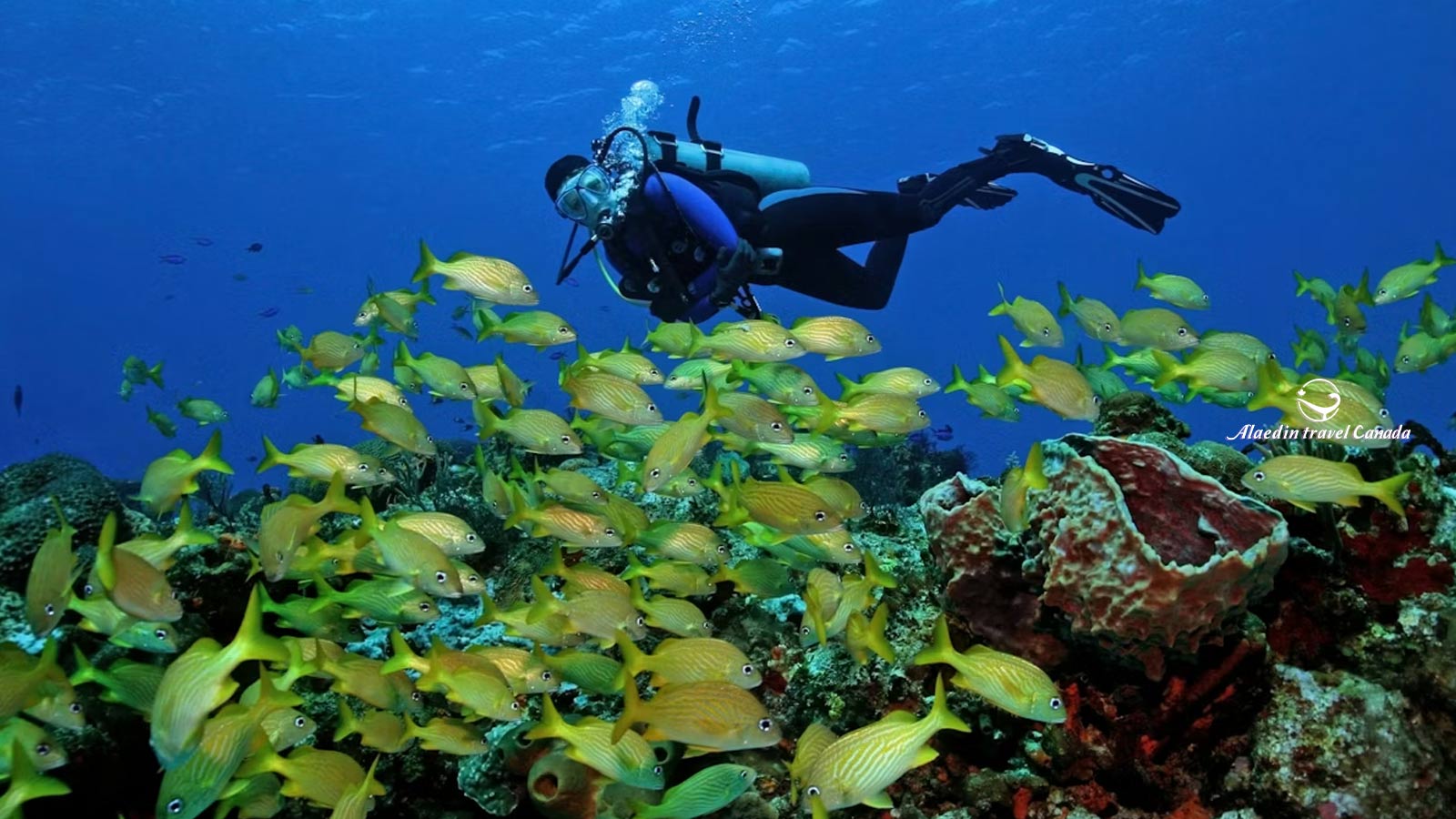 Mexico 12 Days Tours - Alaedin Travel Canada