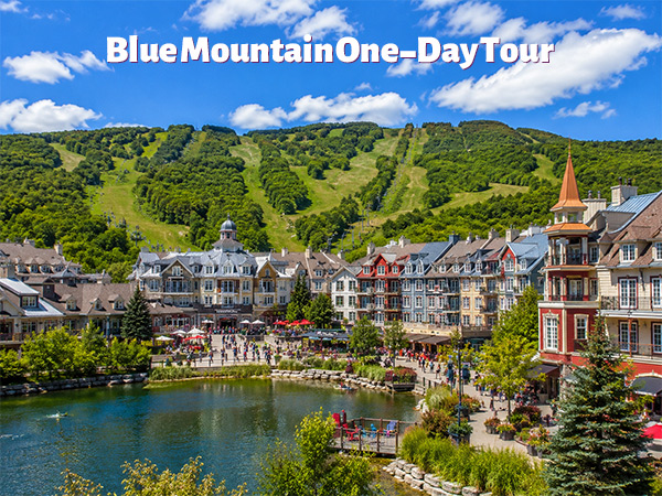 Blue Mountain One-Day Tour
