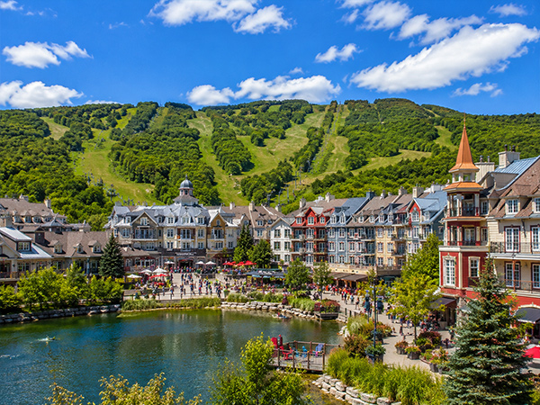 Blue Mountain One-Day Tour