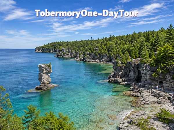 Tobermory One-Day Tour