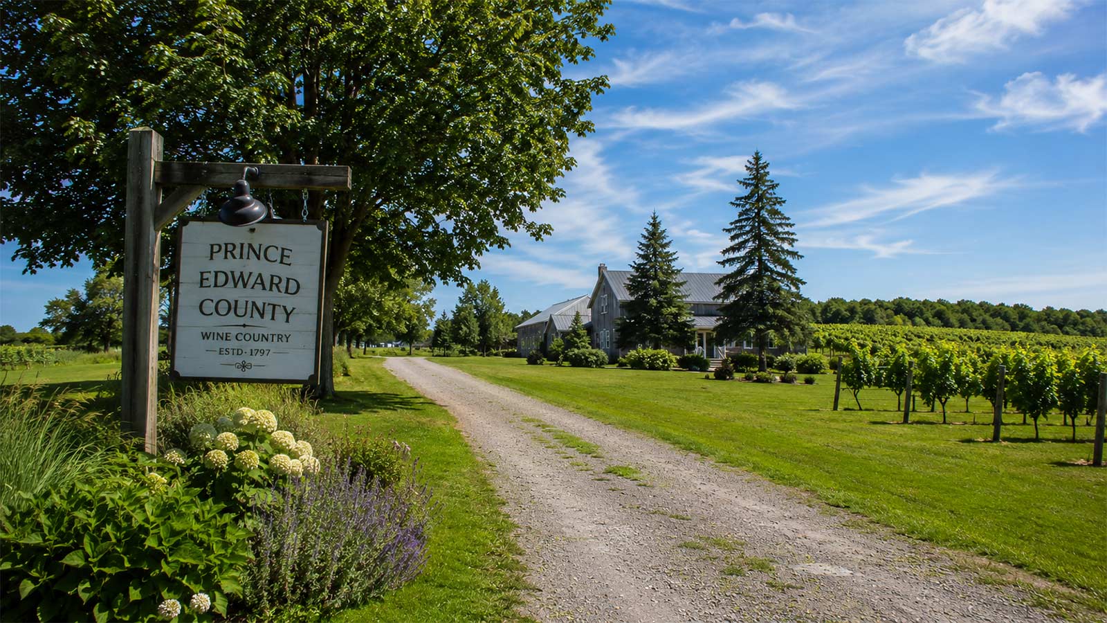 Prince Edward County wine country with vineyards and rural scenery in Ontario