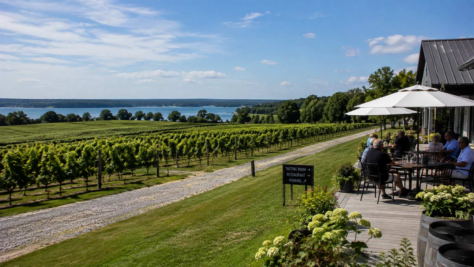 Vineyard and winery in Prince Edward County, Ontario