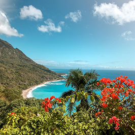 Dominican Republic Tours